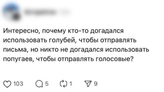Воскресные картинки