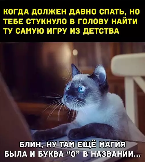 Картиночки, баянчики 19 февраля