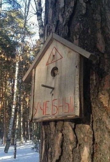 Среды картинки