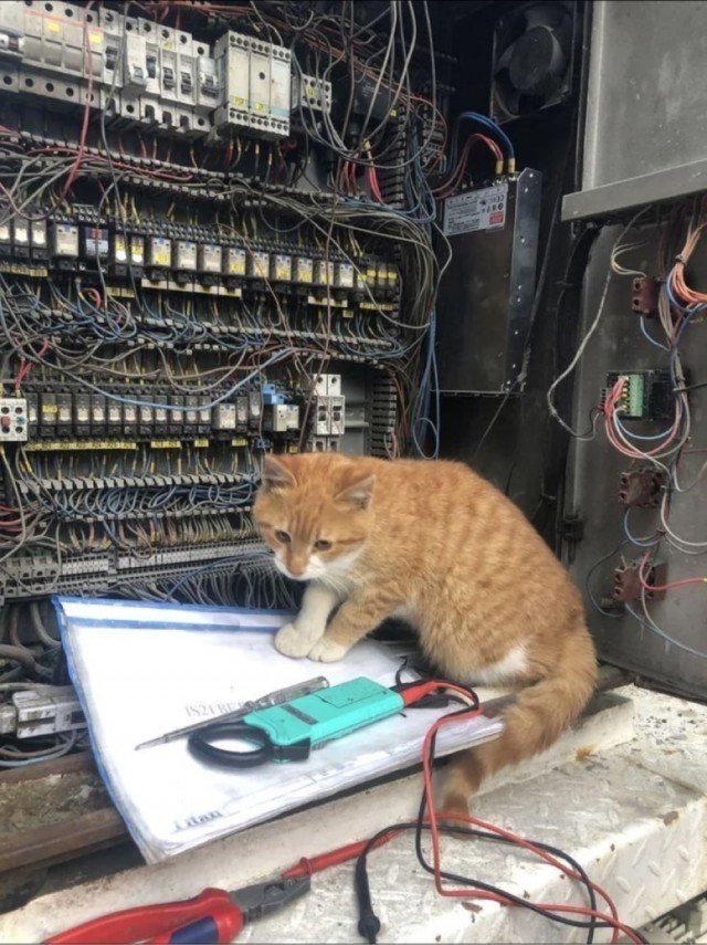 Пятничные картинки