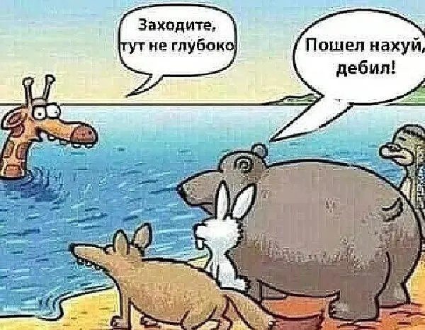 Так себе картинки 24.07.26