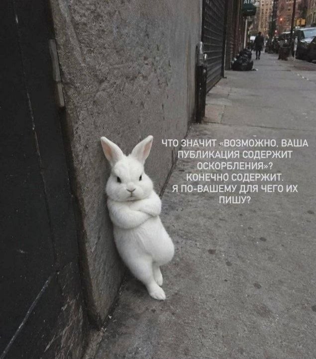 Картинки для деградации 271 (разной степени свежести)