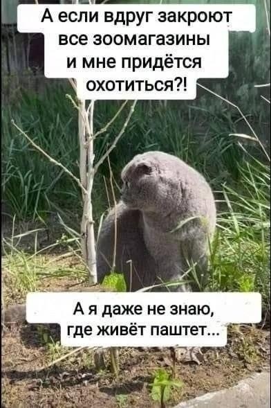 Картинки для деградации 275 (разной степени свежести)