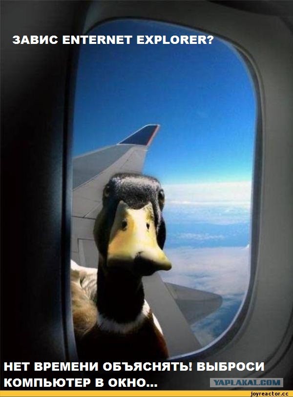 Утка - советчик