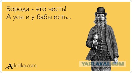 Брови