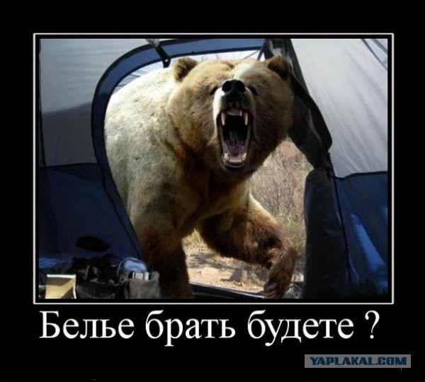 Работа проводником как все устроенно на мой взгляд