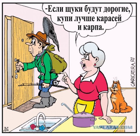 Тема для юмора