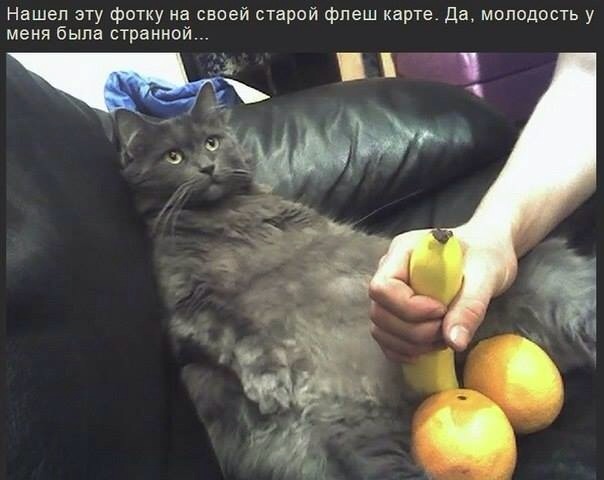 Легкой наркомании пост