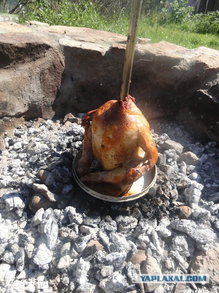 Курица гриль.