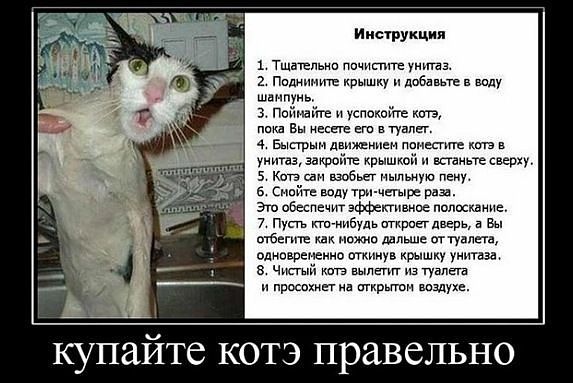 Комментарии из социальных сетей