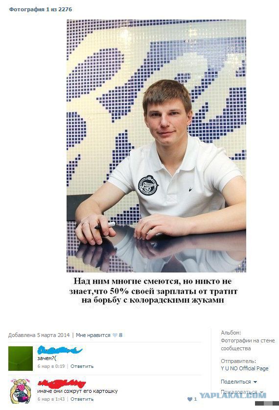 Комменты из соцсетей