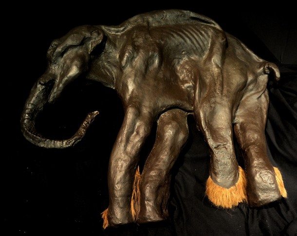 Герои ледникового периода