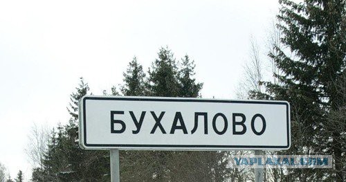 синька-зло