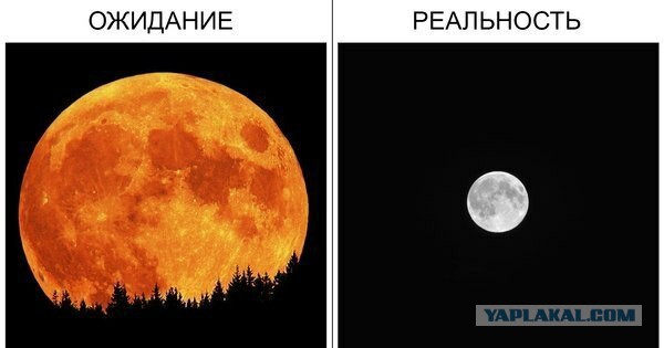 Подарочные конверты (2 шт)