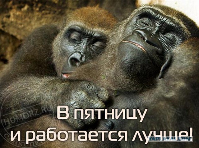 Чёрт, чёрт, чёрт!