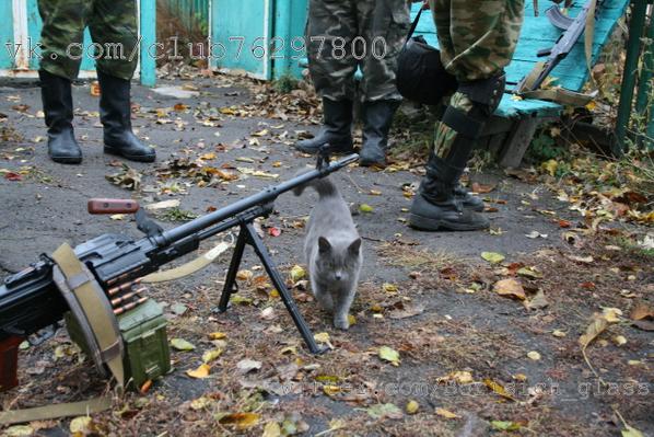Никишино. Будни ополченцев