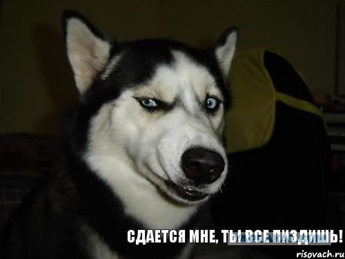 Ох уж эти сказочники