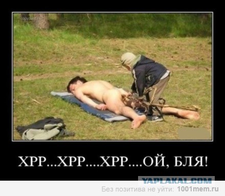 Весёлые картинки