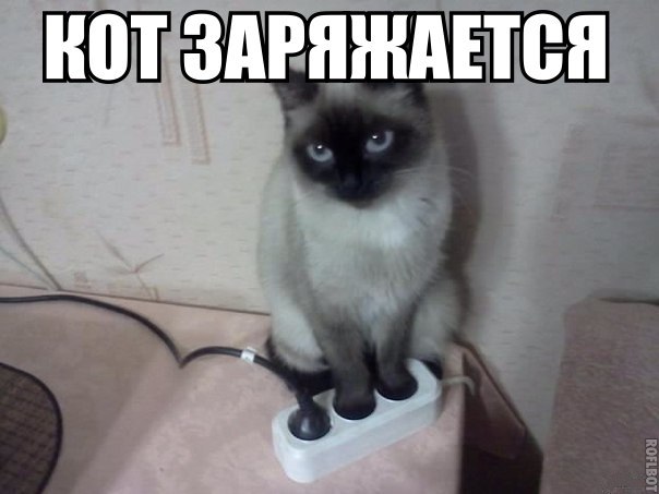 Забавные картинки из интернетов