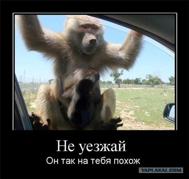 Смешные и не очень картинки