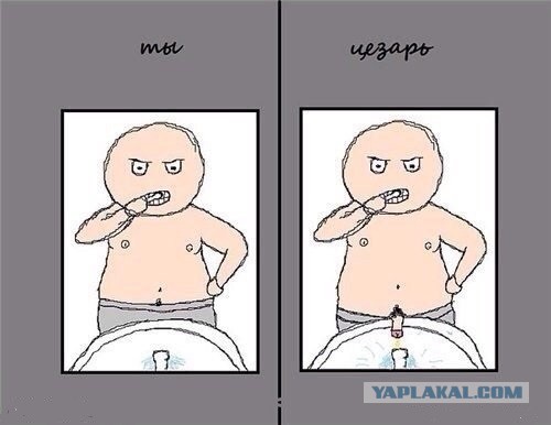 Смешные картинки, приколы, комментарии и прочее...