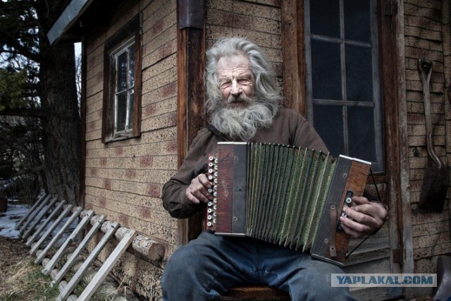 Зубная паста, пломбирующая зубы