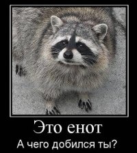 Картинок пачка