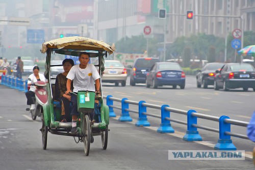 10 жертв равнодушия