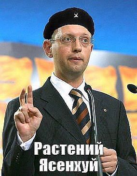 На своей волне