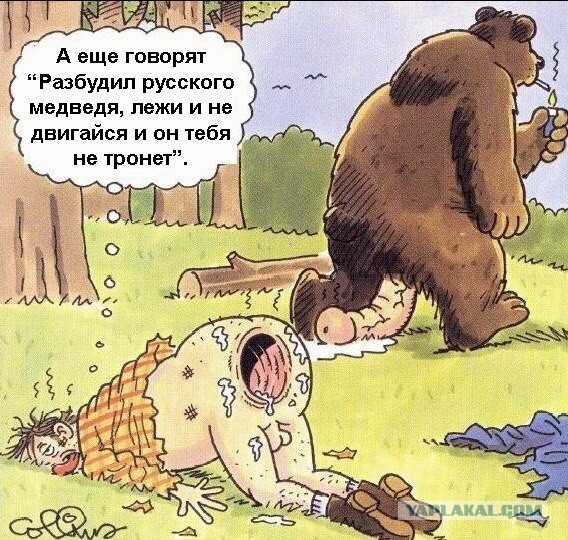 Карелия - медведики