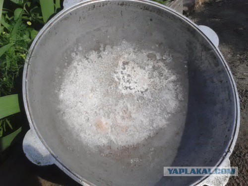 Кухня (кулинарное и околокулинарное общение)