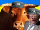 Интернациональная бригада "Пятнашка" под Марьинкой