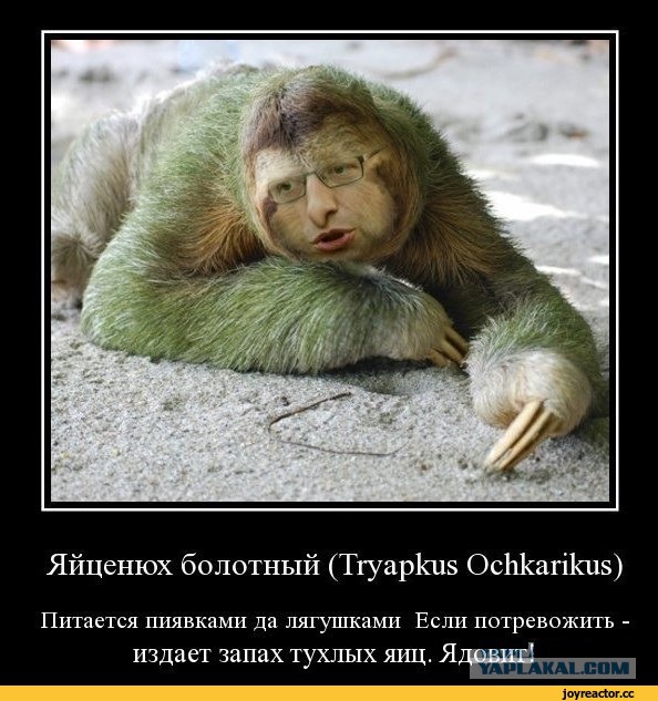 Яценюк - филателист