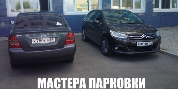 Приколы из сети