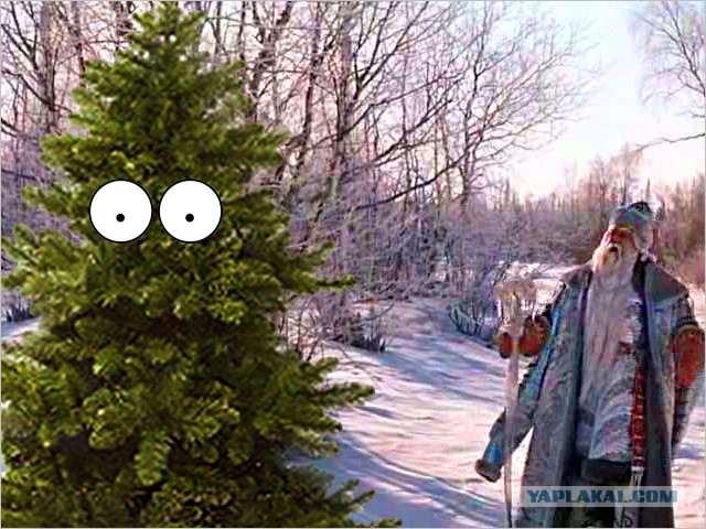 Фотожаберы! Нарядим елочку!