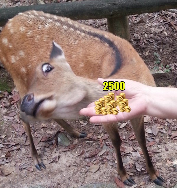 Wargaming 31