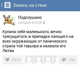 Веселые картинки