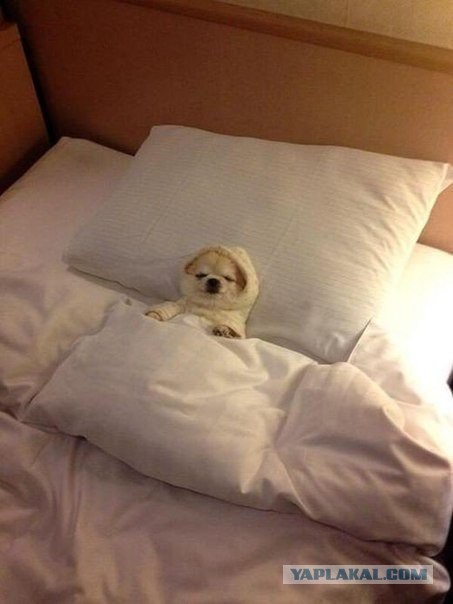 Больше, чем фото