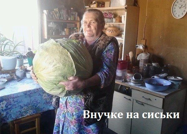 Забавные картинки из Сети