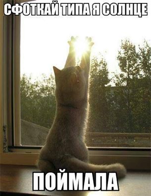 Подборка интересных и веселых картинок