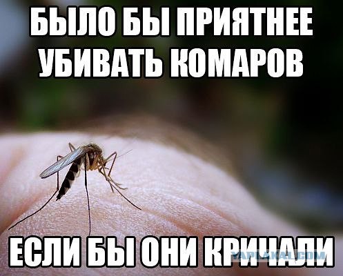 Почему комары кусают всех по-разному
