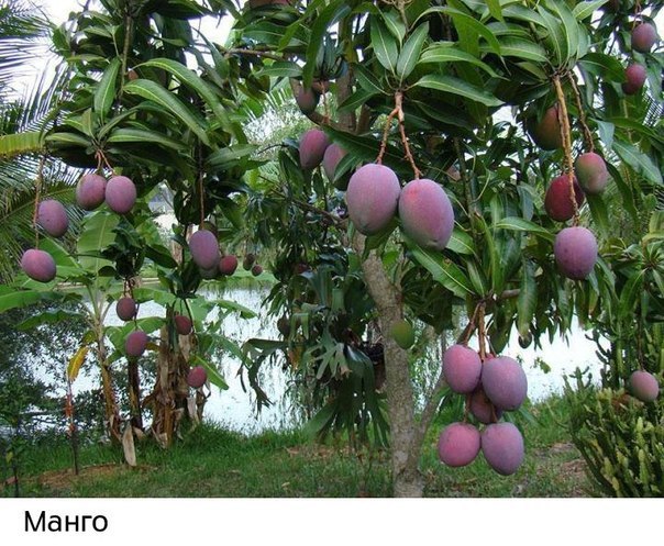 Интересные и веселые картинки