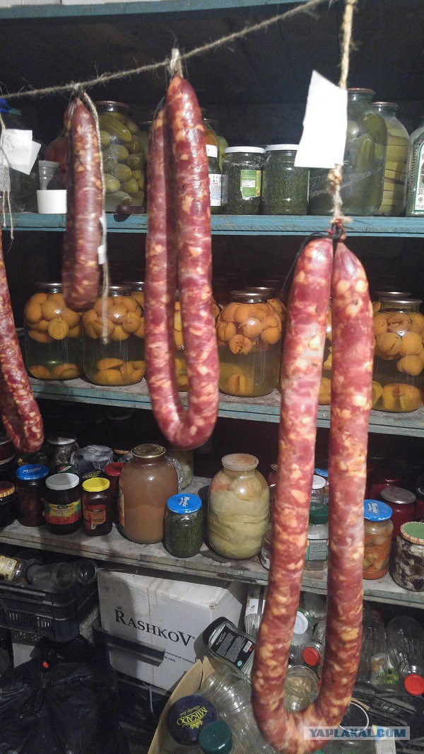 Колбасный FAQ. Делимся опытом, задаем вопросы, обсуждаем технологии.