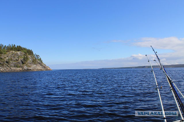 Рыбалка на Белом море