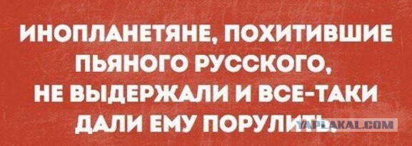 Порция картинок из сети