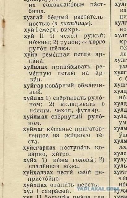 Как происходила эволюция языков на Земле?