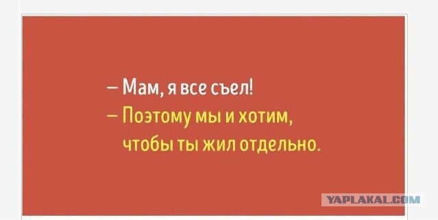Картинки из интернетов