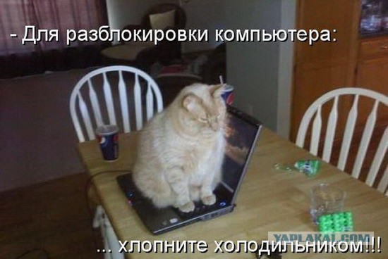 Картинки с букофками