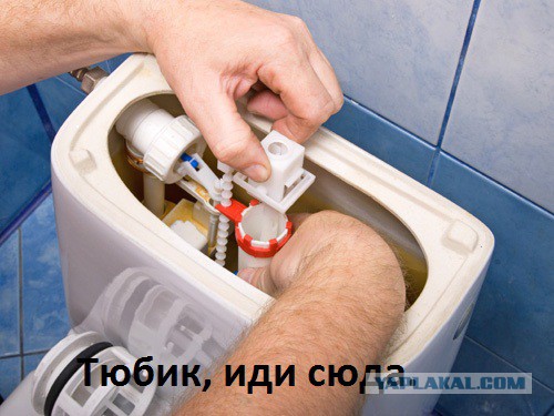 Жертва телевизора