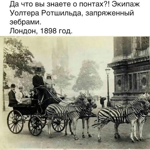 Просто картинки с сети